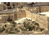 Jerusalem - Temple steps - From Mt of Olives